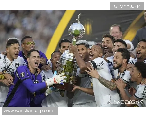 从草根到巅峰足球明星的奋斗与荣耀之路